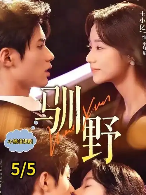 长夜将明 热播电视剧全集